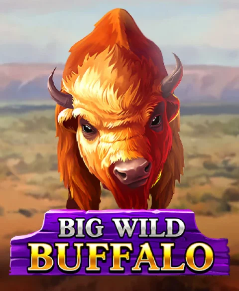 Play Big Wild Buffalo at Spin Bounty Casino